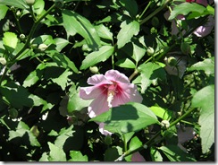 PICT0014