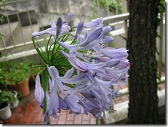 PICT0033