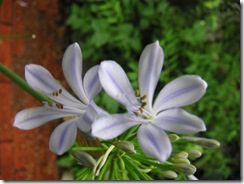 PICT0034