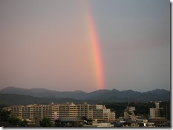 PICT0234