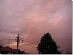 PICT0236